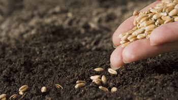 Desde el oficialismo y la