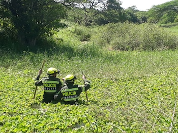 Miembros de la Policía de