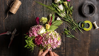 Flores de temporada serán las