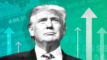 Desde que Donald Trump ganó