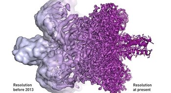 El primer método efectivo para