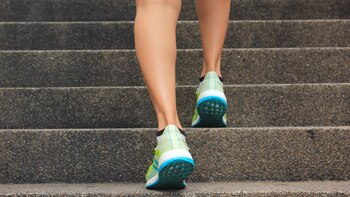 Una empresa italiana prohibió el