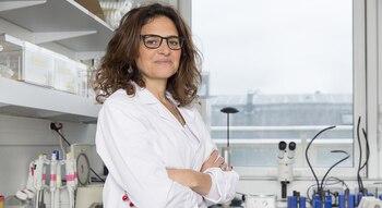 Piaggio lidera un grupo de