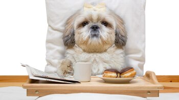 Antes del viaje es fundamental