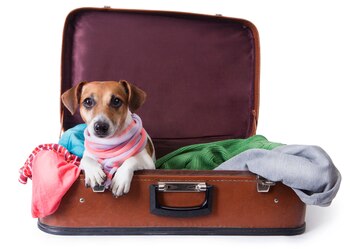 Antes de hacer las valijas