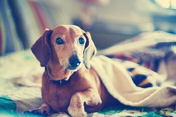 Independientemente del ambiente más o