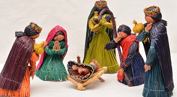 Para disfrutar de cerca las