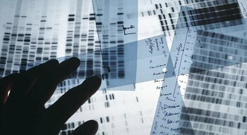 Un software argentino llamado GENis