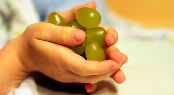 Las uvas son otros de