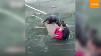 Imagen WVL4OADQGFCCTGQQHYVGY44TBU