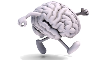 Hacer ejercicio de forma regular favorece distintas funciones del cerebro (Getty)