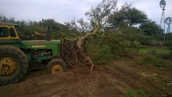 Una de las fotos que Iván subió a las redes sociales sobre su trabajo en el campo