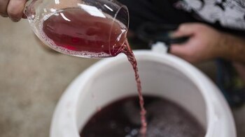 Foto cortesía de Poor Tom’s Gin