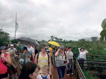Más de las Cataratas