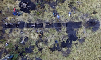 Los arqueólogos trabajan en el