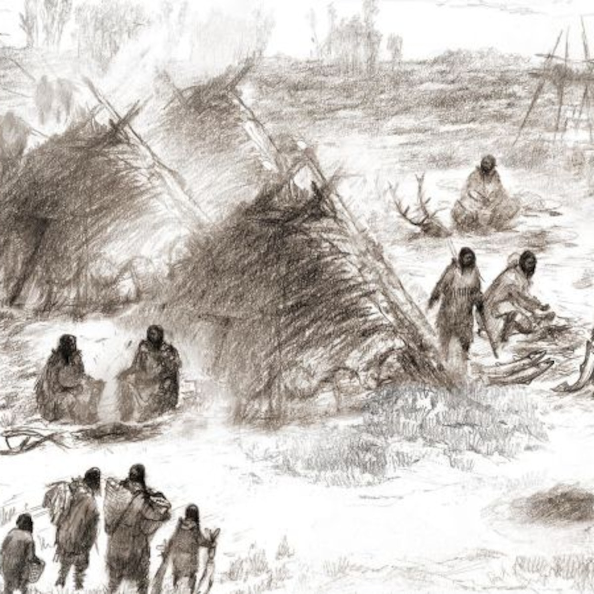 El análisis del ADN de una bebé que murió hace 11.500 años echó luz a una nueva teoría de cómo se pobló América - Infobae