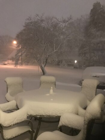 Los autos y los jardines,