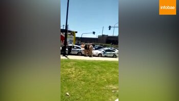 Así se llevaba personal de