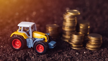 La comercialización de la campaña