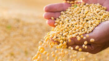 La caída de la recaudación