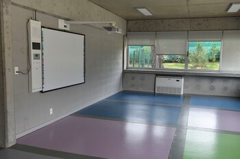 Las famosas pizarras digitales. Al