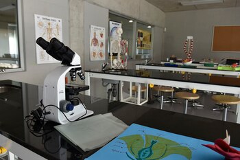 (Fotos: GM Press Punta del