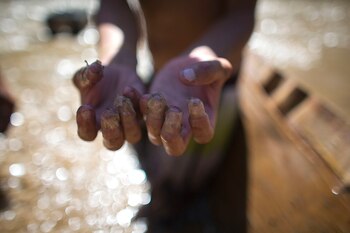 La mínima protección de los