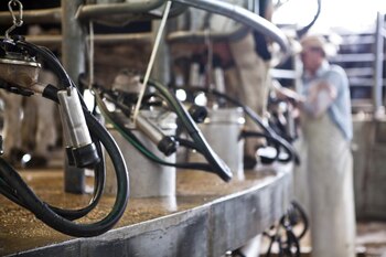 La mitad de los tambos