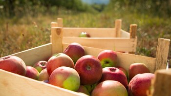 Se agravan los problemas para