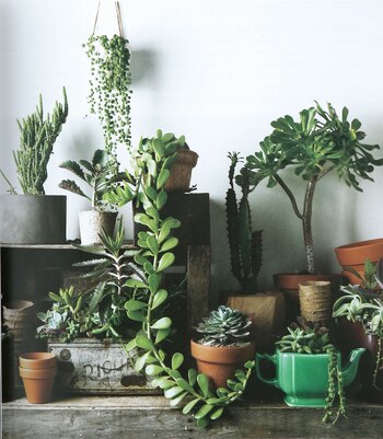 Rocío. En verano, a las