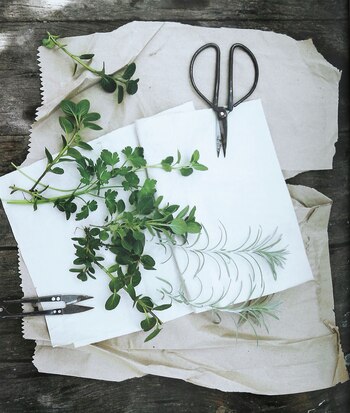 Así como la jardinería urbana,