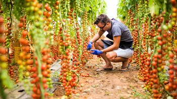 Las economías regionales no logran