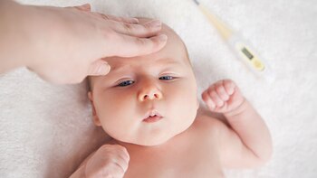 Decaimiento y temperatura corporal elevada