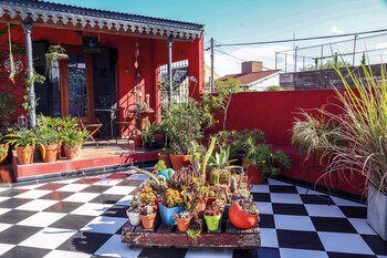 Pallet con macetas. Foto: Facundo