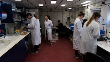 Dentro del barco se realizan