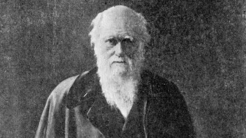 Científicos estadounidenses encontraron una explicación