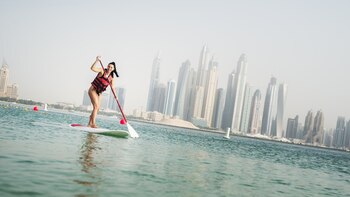 La iniciativa fue lanzada por