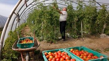 Para recuperar la competitividad hay