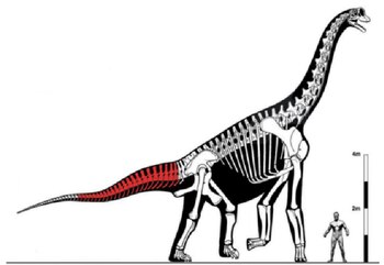 En rojo, el fragmento que