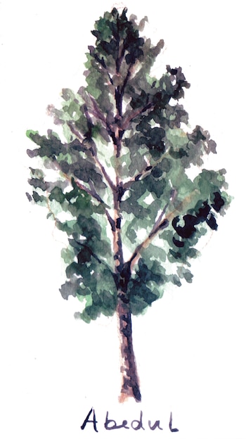 (Del 24/12 al 20/01)