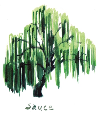 (Del 15/04 al 12/05)