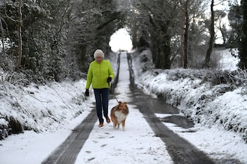 Una mujer camina a su perro en Hillsborough, Irlanda del Norte, el 16 de enero de 2018 (Reuters)