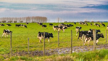 Uruguay atraviesa una crisis en