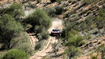 El español Carlos Sainz y