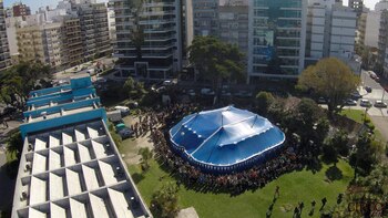 El abrazo a la carpa