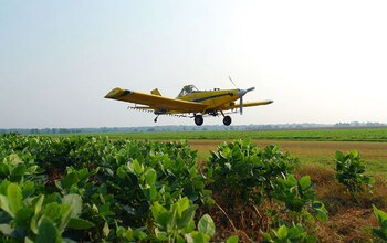 En la campaña agrícola 2017/18 se completarían 250.000 hectáreas con siembra área.