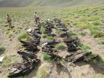 Los cadáveres encontrados presentan diferentes