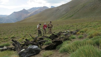 Los resultados de las pericias