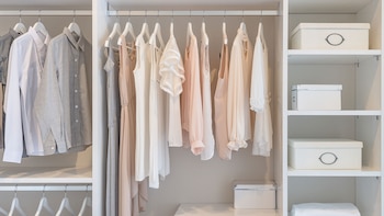 “El orden y el desorden