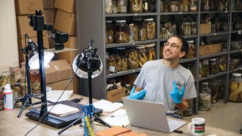 En Microsoft Research los investigadores